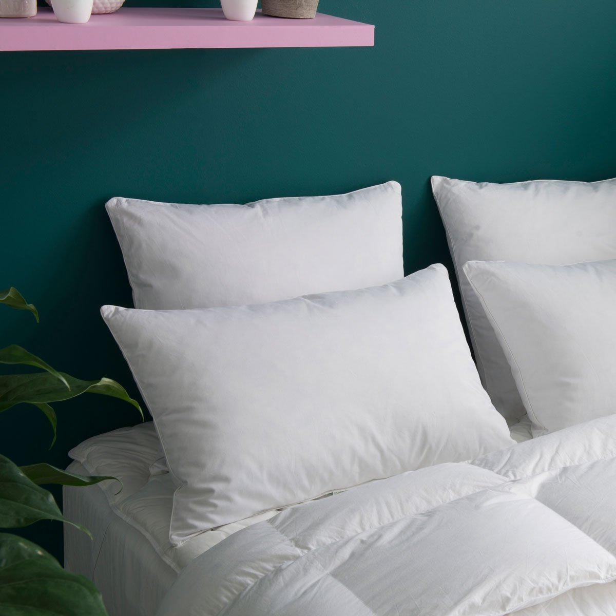Oreiller 30% duvet oie/canard trait&eacute; anti-acariens - coton Bio Edgard
