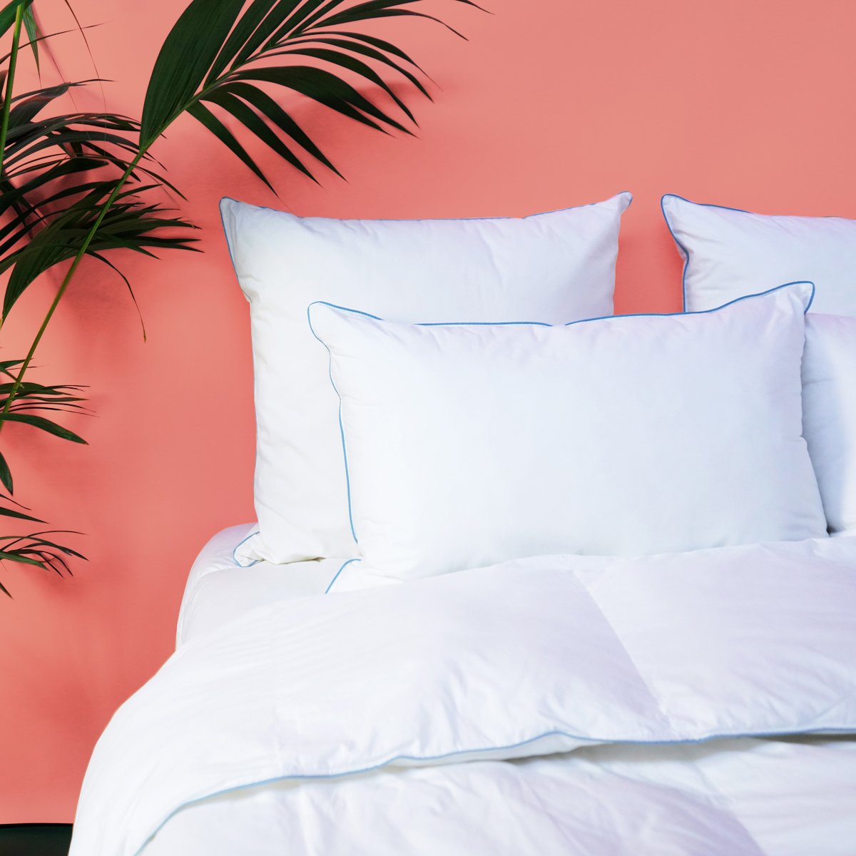 Oreiller Fibre ergonomique - coton Bio Marin