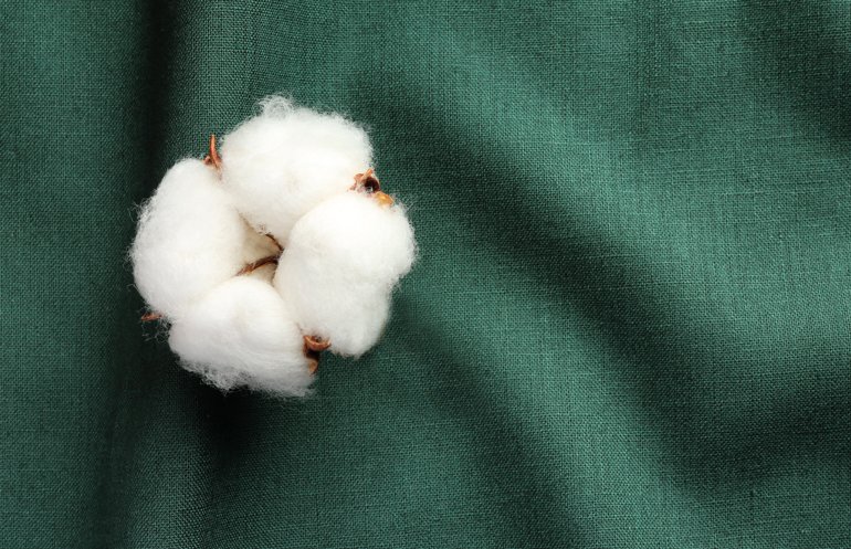 coton naturel