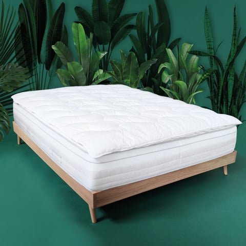 Gamme Surmatelas WAKE ME GREEN